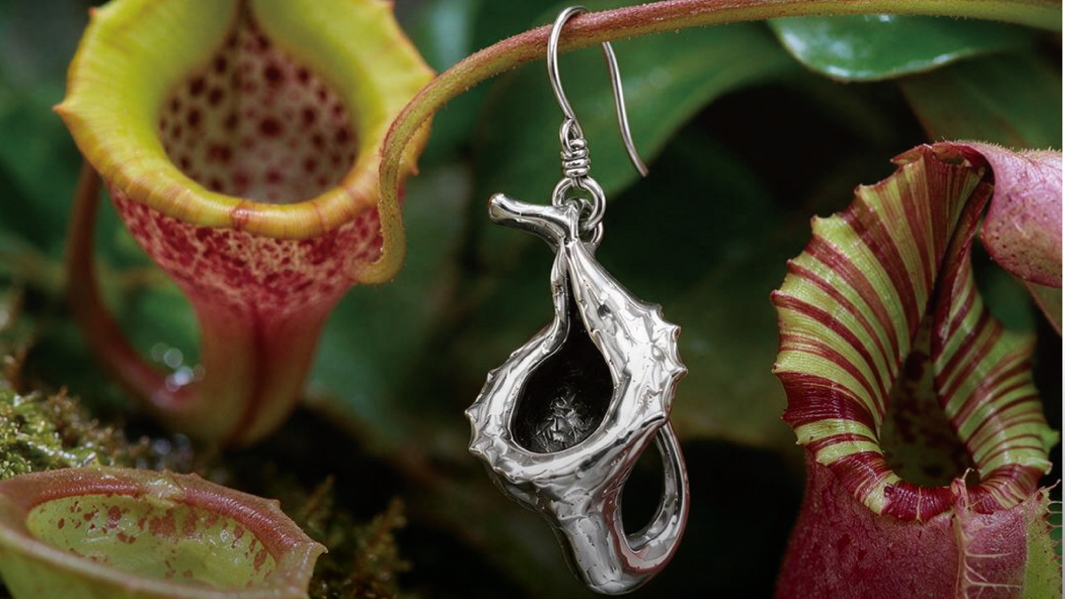 10 Fascinating Pitcher Plant Facts You Probably Didn't Know