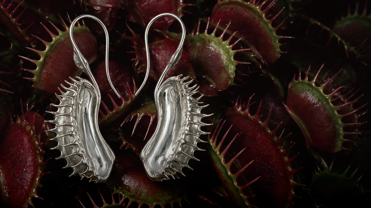 Do Venus Flytraps Have Teeth? What Those Spikes Really Do