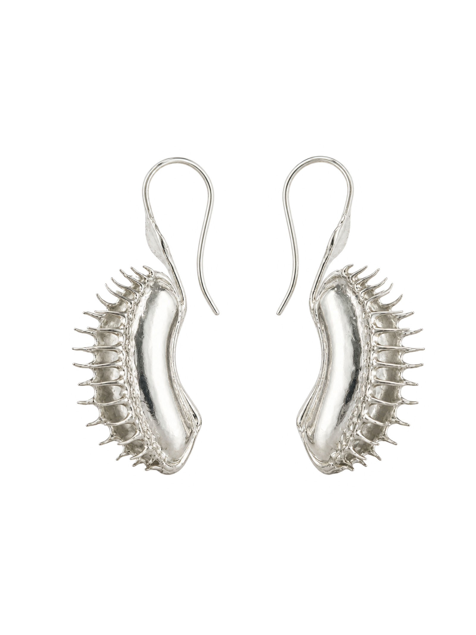 SPECIMEN ANATOMY