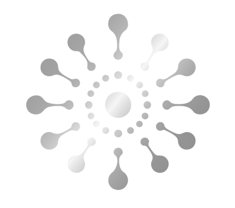 MANDALA SYSTEM